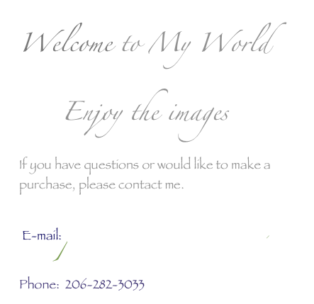 Welcome to My World
     Enjoy the images 
If you have questions or would like to make a purchase, please contact me.  
 E-mail:  pjhitchens@mac.com
Phone:  206-282-3033